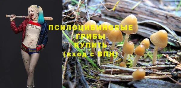 спайс Медвежьегорск