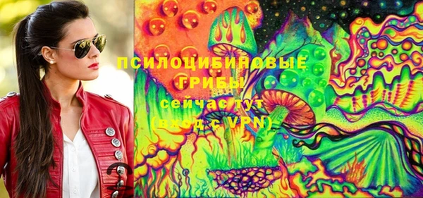 прущий лед Абаза