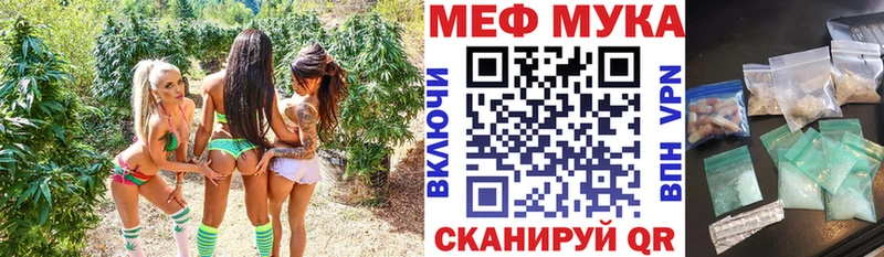МЯУ-МЯУ 4 MMC  Новосибирск 