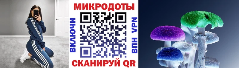 Галлюциногенные грибы Cubensis  купить   Новосибирск 